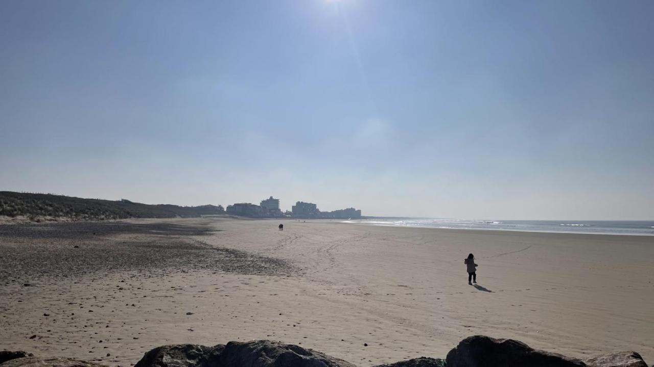 דירות סן-ז'יל-קרואה-דה-וי Le Phare Du Port מראה חיצוני תמונה